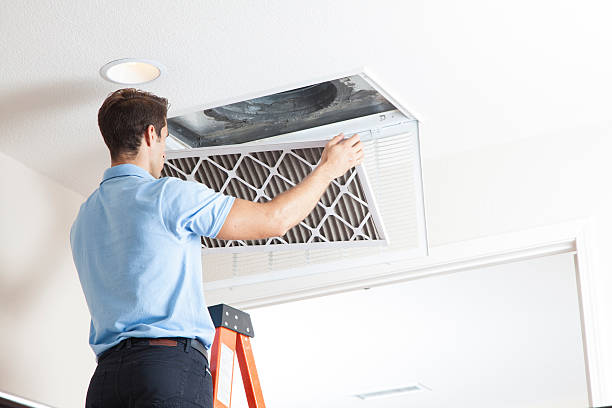 Best Air Filters and Purifiers in Bushnell, FL